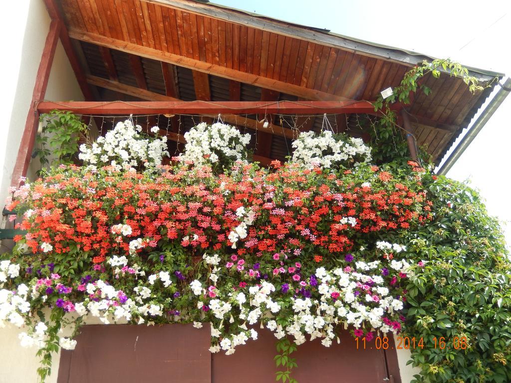 Петриківка Slavsko Exterior foto